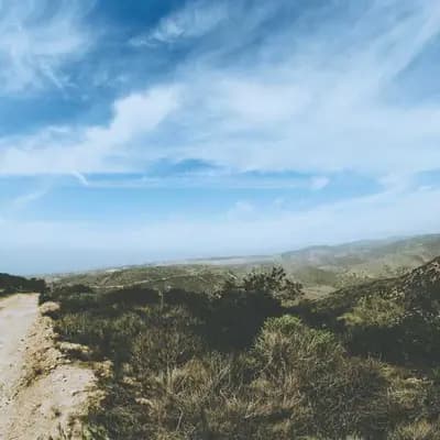 Resistance Bands Set